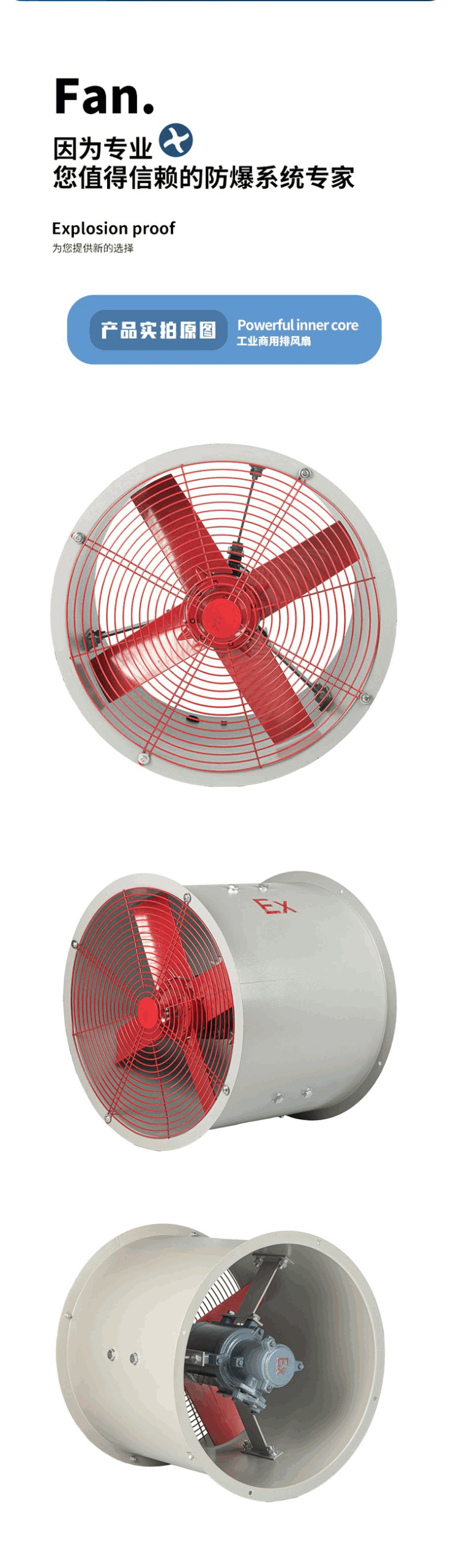 26214907lG956g.png